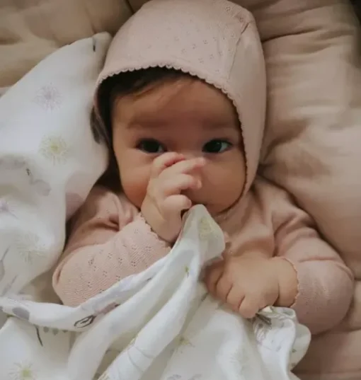 Adventures in Wonderland Swaddle - Rose