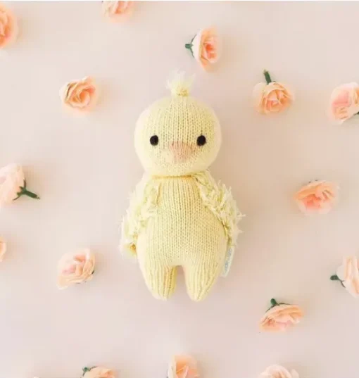 Baby duckling