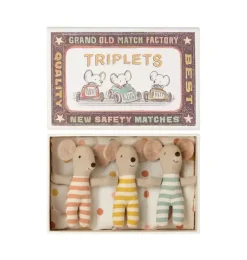 Baby Triplets in Box