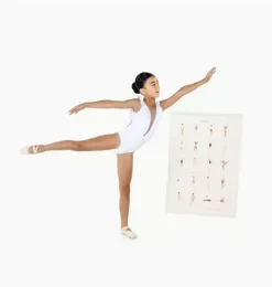 Ballet Basics Poster