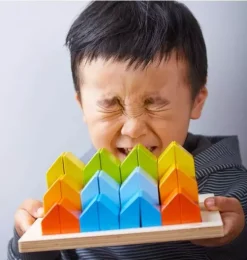 Creative Stones 3D Wooden Arranging Blocks