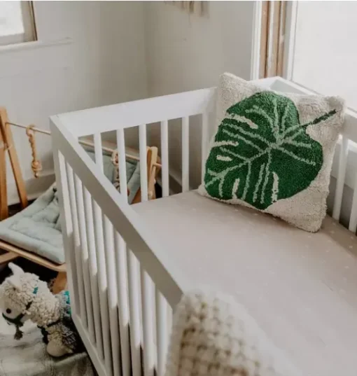 Cushion Monstera