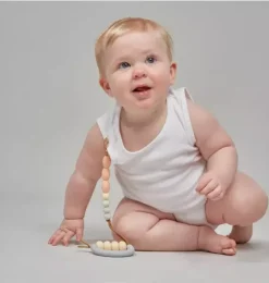 Dandelion Arch Teether + Clip Set