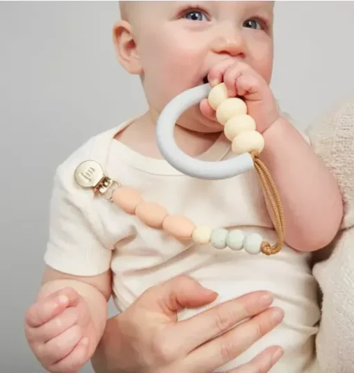 Dandelion Arch Teether + Clip Set