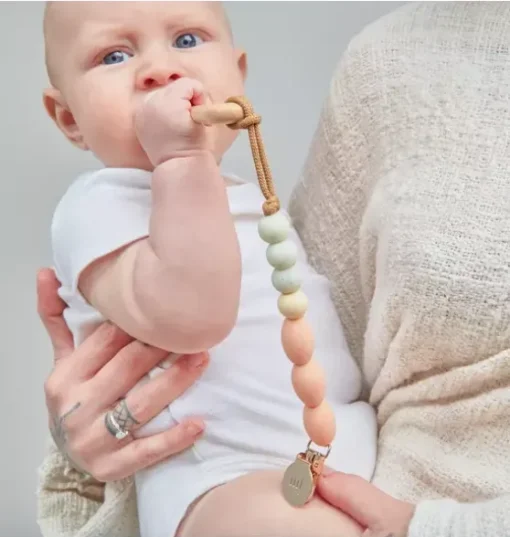 Dandelion Feeding Set + Clip