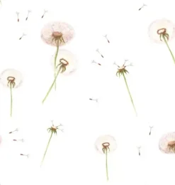 Dandelions Wallpaper