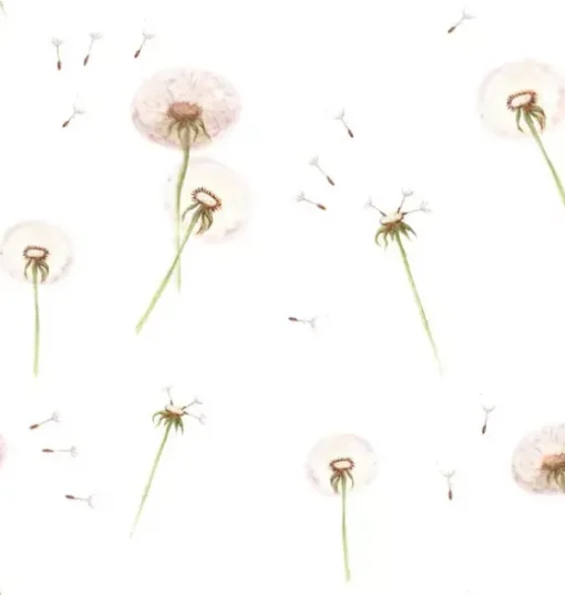 Dandelions Wallpaper