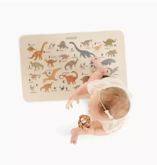 Dinosaur Alphabet Changing Mat