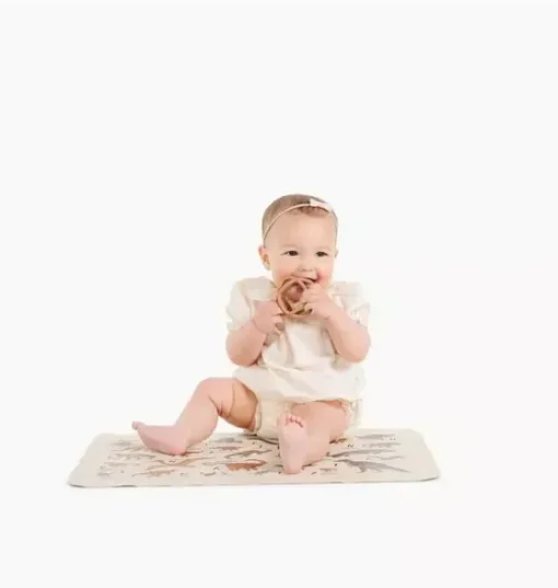 Dinosaur Alphabet Changing Mat