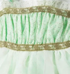 Disney Tinker Bell Dress