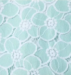 Floral Lace Collared Dress
