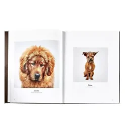 GOOD DOG  LEATHER EDITION