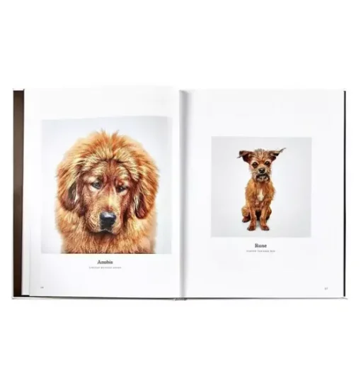 GOOD DOG  LEATHER EDITION