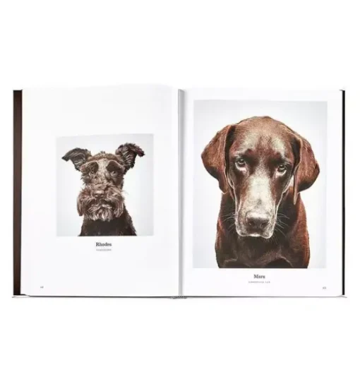 GOOD DOG  LEATHER EDITION