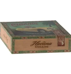 Grandma & Grandpa Mice in Cigarbox