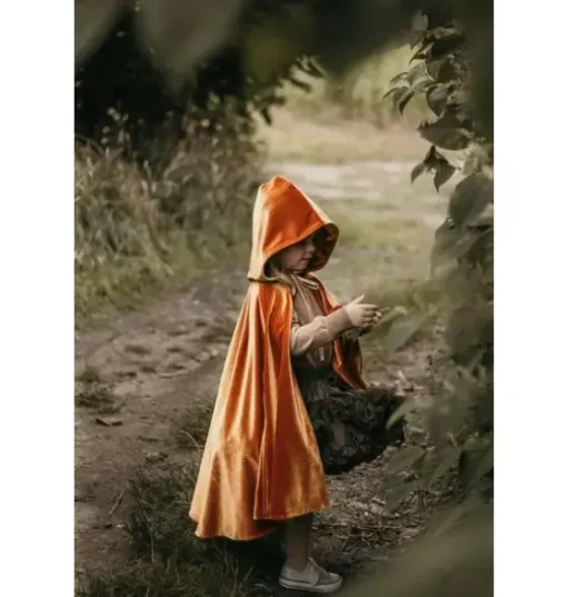 “Little Gold Riding Hood” Magic Cape