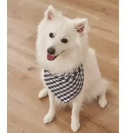 Light Blue Gingham Dog Bandana
