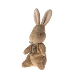My first bunny - Brown