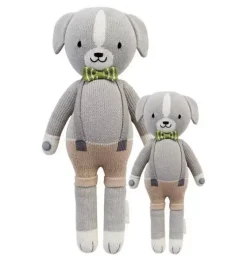 Noah the dog