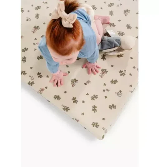 Peter Rabbit High Chair Mat