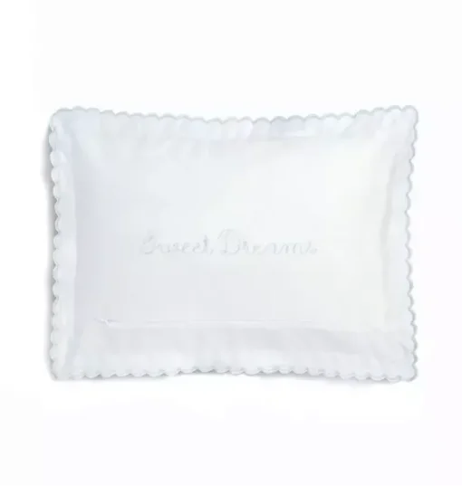 Picnic Gingham Toddler Pillow Set - Blue