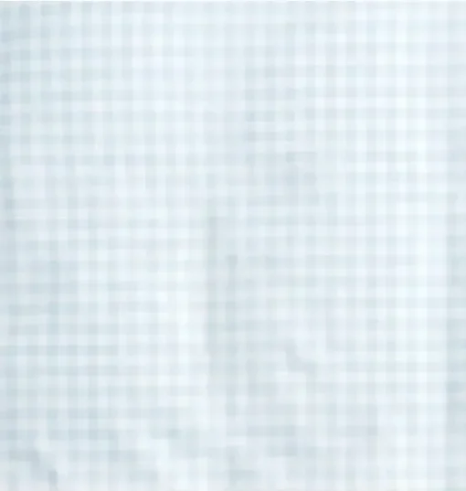 Picnic Gingham Toddler Pillow Set - Blue