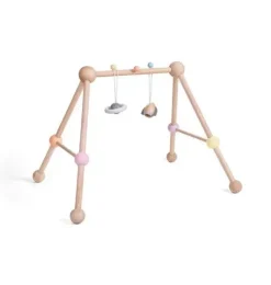 PLAY GYM
