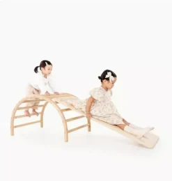 Play Gym Slide