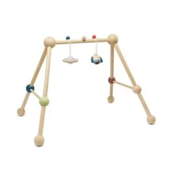 PLAY GYM-ORCHARD