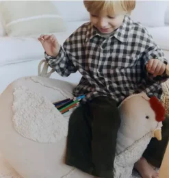 Pouf Chicken