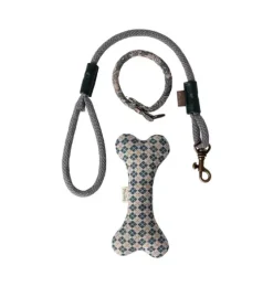 Puppy supply, Accessories - Blue