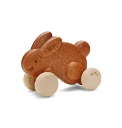 PUSH ALONG BUNNY-BROWN