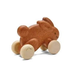 PUSH ALONG BUNNY-BROWN