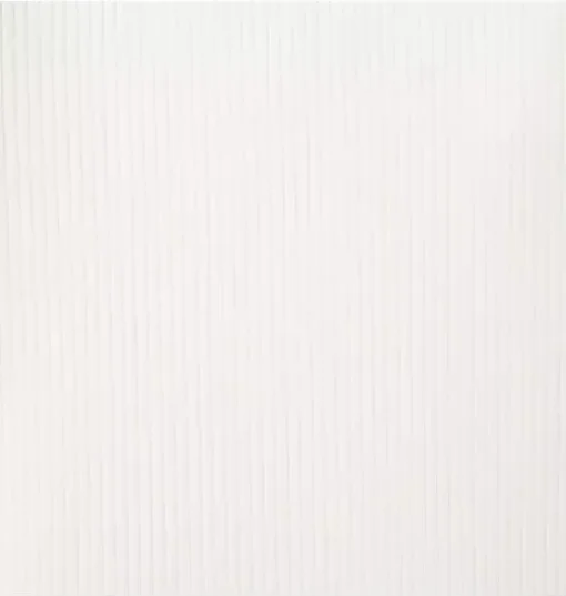 Ribbed Ruffle Shoulder Top