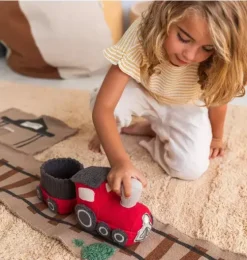 Ride & Roll Train