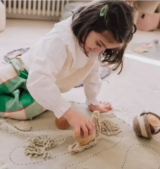 Snail Toy Set