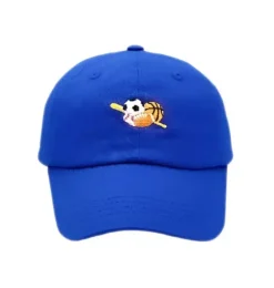 Sport Baseball Hat