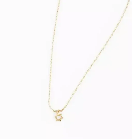 Star Of David Pendant Necklace