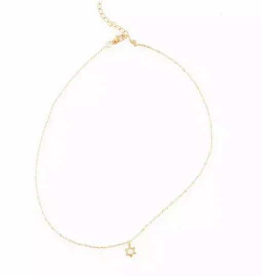Star Of David Pendant Necklace