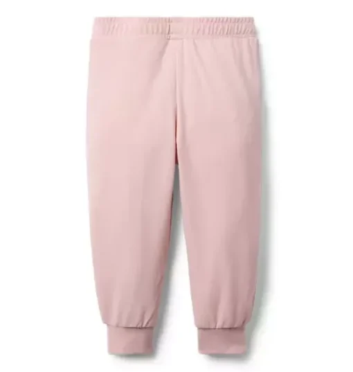 The Adventure Jogger