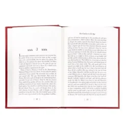 THE CATCHER IN THE RYE LEATHER EDITION