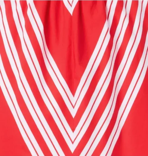 The Classic Chevron Dress