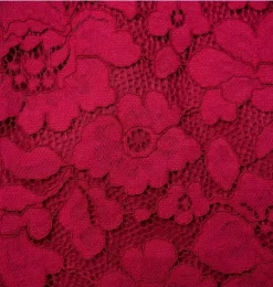 The Leading Lace Dress