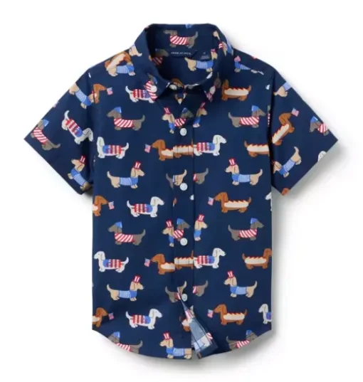 The Poplin Shirt