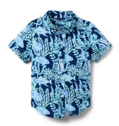The Poplin Shirt