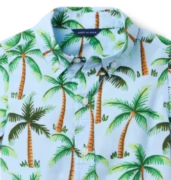 The Poplin Shirt
