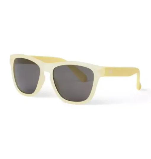 Tinted Sunglasses