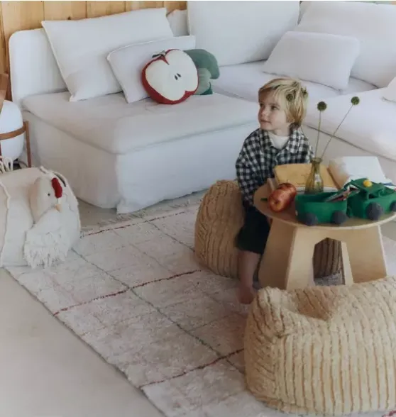 Washable Rug Color Lines