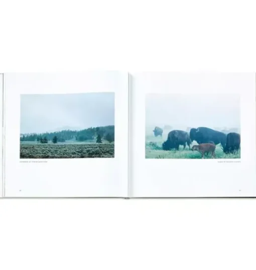Yellowstone: A Land of Wild and Wonder LEATHER EDITION
