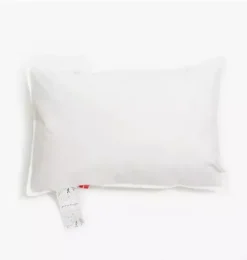Adventures in Wonderland Toddler Pillow Set - Aqua